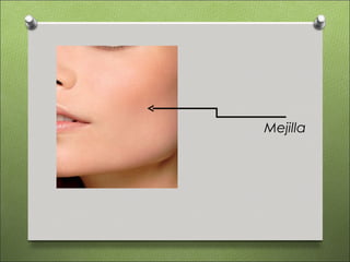 Mejilla
 