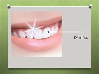 Dientes
 