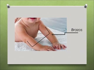 Brazos
 