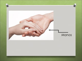 Manos
 