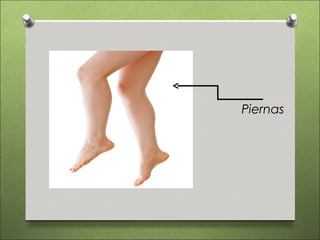 Piernas
 