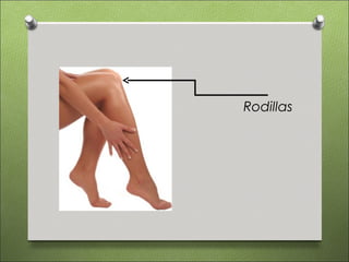 Rodillas
 