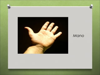 Mano
 