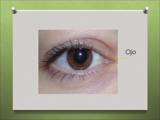 Ojo
 