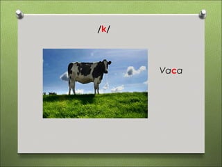 /k/



      Vaca
 