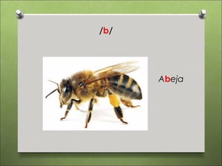 /b/




      Abeja
 