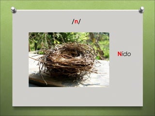 /n/




      Nido
 