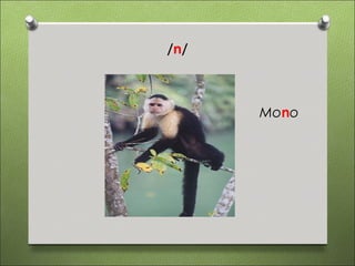 /n/



      Mono
 
