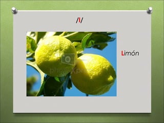 /l/




      Limón
 