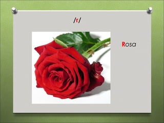 /r/


      Rosa
 