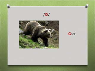 /O/




      Oso
 