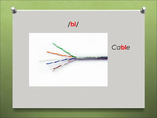 /bl/


       Cable
 