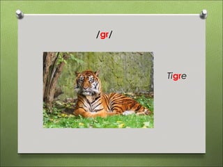 /gr/



       Tigre
 