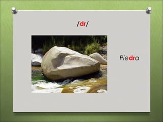 /dr/




       Piedra
 