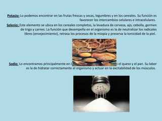 Potasio: Lo podemos encontrar en las frutas frescas y secas, legumbres y en los cereales. Su función es
favorecer los intercambios celulares e intracelulares.
Selenio: Este elemento se ubica en los cereales completos, la levadura de cerveza, ajo, cebolla, germen
de trigo y carnes. La función que desempeña en el organismo es la de neutralizar los radicales
libres (envejecimiento), retrasa los procesos de la miopía y preserva la tonicidad de la piel.

Sodio: Lo encontramos principalmente en la sal y en otros alimentos como el queso y el pan. Su labor
es la de hidratar correctamente el organismo y actuar en la excitabilidad de los músculos.

 