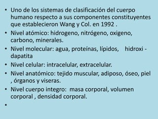 • Uno de los sistemas de clasificación del cuerpo
humano respecto a sus componentes constituyentes
que establecieron Wang y Col. en 1992 .
• Nivel atómico: hidrogeno, nitrógeno, oxigeno,
carbono, minerales.
• Nivel molecular: agua, proteínas, lípidos, hidroxi dapatita
• Nivel celular: intracelular, extracelular.
• Nivel anatómico: tejido muscular, adiposo, óseo, piel
, órganos y viseras.
• Nivel cuerpo integro: masa corporal, volumen
corporal , densidad corporal.
•

 