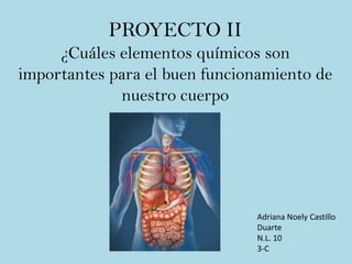 PROYECTO II
¿Cuáles elementos químicos son
importantes para el buen funcionamiento de
nuestro cuerpo

Adriana Noely Castillo
Duarte
N.L. 10
3-C

 