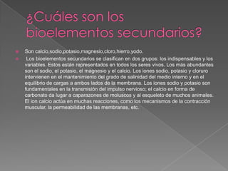 


Son calcio,sodio,potasio,magnesio,cloro,hierro,yodo.
Los bioelementos secundarios se clasifican en dos grupos: los indispensables y los
variables. Estos están representados en todos los seres vivos. Los más abundantes
son el sodio, el potasio, el magnesio y el calcio. Los iones sodio, potasio y cloruro
intervienen en el mantenimiento del grado de salinidad del medio interno y en el
equilibrio de cargas a ambos lados de la membrana. Los iones sodio y potasio son
fundamentales en la transmisión del impulso nervioso; el calcio en forma de
carbonato da lugar a caparazones de moluscos y al esqueleto de muchos animales.
El ion calcio actúa en muchas reacciones, como los mecanismos de la contracción
muscular, la permeabilidad de las membranas, etc.

 