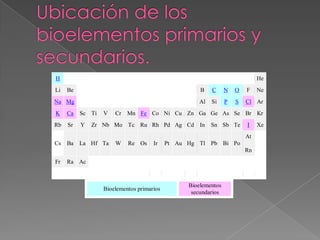 H
Li

He
Be

B

C

N

O

F

Na Mg

Al

Si

P

S

Cl Ar

K

Ca

Sc Ti

Rb

Sr

Y

V

Cr

Mn Fe Co Ni Cu Zn Ga Ge As Se Br Kr

Zr Nb Mo Tc Ru Rh Pd Ag Cd

In

Sn Sb Te

I
At

Cs

Ba La Hf Ta

W

Re Os

Ir

Pt Au Hg Tl Pb Bi Po
Rn

Fr

Ne

Ra Ac

Bioelementos primarios

Bioelementos
secundarios

Xe

 