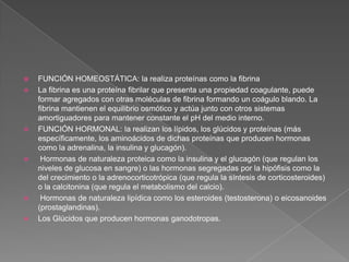 









FUNCIÓN HOMEOSTÁTICA: la realiza proteínas como la fibrina
La fibrina es una proteína fibrilar que presenta una propiedad coagulante, puede
formar agregados con otras moléculas de fibrina formando un coágulo blando. La
fibrina mantienen el equilibrio osmótico y actúa junto con otros sistemas
amortiguadores para mantener constante el pH del medio interno.
FUNCIÓN HORMONAL: la realizan los lípidos, los glúcidos y proteínas (más
específicamente, los aminoácidos de dichas proteínas que producen hormonas
como la adrenalina, la insulina y glucagón).
Hormonas de naturaleza proteica como la insulina y el glucagón (que regulan los
niveles de glucosa en sangre) o las hormonas segregadas por la hipófisis como la
del crecimiento o la adrenocorticotrópica (que regula la síntesis de corticosteroides)
o la calcitonina (que regula el metabolismo del calcio).
Hormonas de naturaleza lipídica como los esteroides (testosterona) o eicosanoides
(prostaglandinas).
Los Glúcidos que producen hormonas ganodotropas.

 