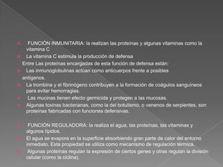 












FUNCIÓN INMUNITARIA: la realizan las proteínas y algunas vitaminas como la
vitamina C
La vitamina C estimula la producción de defensa
Entre Las proteínas encargadas de esta función de defensa están:
Las inmunoglobulinas actúan como anticuerpos frente a posibles
antígenos.
La trombina y el fibrinógeno contribuyen a la formación de coágulos sanguíneos
para evitar hemorragias.
Las mucinas tienen efecto germicida y protegen a las mucosas.
Algunas toxinas bacterianas, como la del botulismo, o venenos de serpientes, son
proteínas fabricadas con funciones defensivas.
FUNCIÓN REGULADORA: la realiza el agua, las proteínas, las vitaminas y
algunos lípidos.
El agua se evapora en la superficie absorbiendo gran parte de calor del entorno
inmediato. Esta propiedad se utiliza como mecanismo de regulación térmica.
Algunas proteínas regulan la expresión de ciertos genes y otras regulan la división
celular (como la ciclina).

 