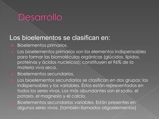 Los bioelementos se clasifican en:








Bioelementos primarios.
Los bioelementos primarios son los elementos indispensables
para formar las biomoléculas orgánicas (glúcidos, lípidos,
proteínas y ácidos nucleicos); constituyen el 96% de la
materia viva seca.
Bioelementos secundarios.
Los bioelementos secundarios se clasifican en dos grupos: los
indispensables y los variables. Éstos están representados en
todos los seres vivos. Los más abundantes son el sodio, el
potasio, el magnesio y el calcio.
Bioelementos secundarios variables. Están presentes en
algunos seres vivos. (también llamados oligoelementos)

 