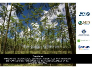 Proyecto
“INNOVACIÓN TECNOLÓGICA, SERVICIOS AMBIENTALES Y CAPACITACIÓN
EN PLANTACIONES FORESTALES EN TIERRAS DEGRADADAS EN LA
AMAZONÍA PERUANA”
 