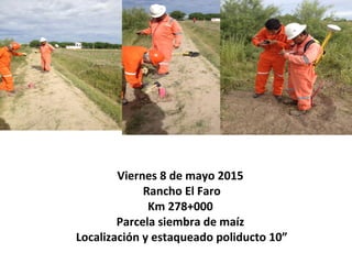 Viernes 8 de mayo 2015
Rancho El Faro
Km 278+000
Parcela siembra de maíz
Localización y estaqueado poliducto 10”
 