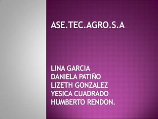 ASE.TEC.AGRO.S.A LINA GARCIA  DANIELA PATIÑO LIZETH GONZALEZ YESICA CUADRADO HUMBERTO RENDON. 