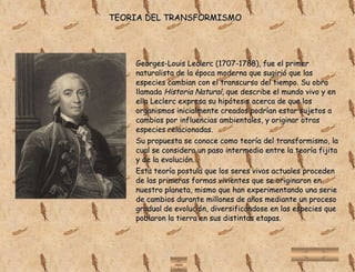 La Evolución | PPT