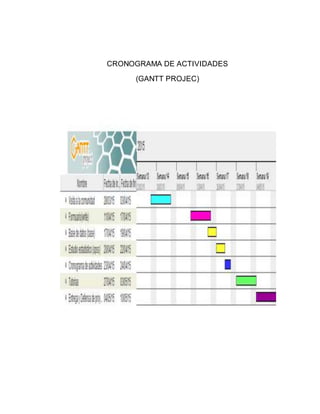 CRONOGRAMA DE ACTIVIDADES
(GANTT PROJEC)
 