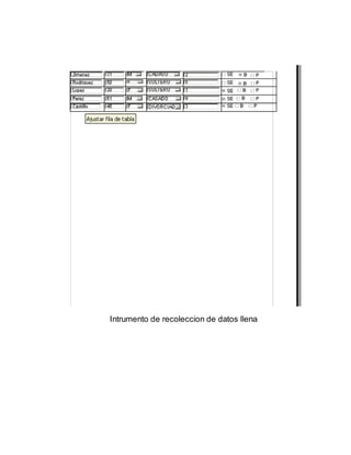 Intrumento de recoleccion de datos llena
 
