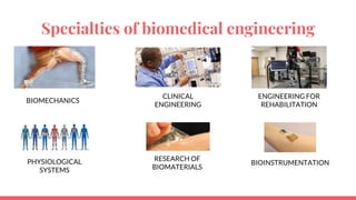 Specialties of biomedical engineering
BIOMECHANICS
CLINICAL
ENGINEERING
ENGINEERING FOR
REHABILITATION
PHYSIOLOGICAL
SYSTEMS
RESEARCH OF
BIOMATERIALS
BIOINSTRUMENTATION
 
