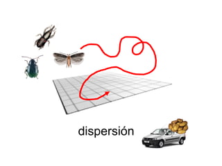 dispersión 