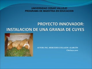 AUTOR: ING .MERCEDES COLLAZOS  ALARCÓN Chiclayo,2010 UNIVERSIDAD CESAR VALLEJO PROGRAMA DE MAESTRIA EN EDUCACION 