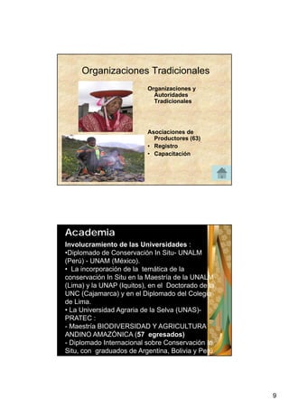 Organizaciones Tradicionales
                           Organizaciones y
                             Autoridades
                             Tradicionales




                           Asociaciones de
                             Productores (63)
                           • Registro
                           • Capacitación




Academia
Involucramiento de las Universidades :
•Diplomado de Conservación In Situ- UNALM
(Perú) - UNAM (México).
• La incorporación de la temática de la
conservación In Situ en la Maestría de la UNALM
(Lima) y la UNAP (Iquitos), en el Doctorado de la
UNC (Cajamarca) y en el Diplomado del Colegio
de Lima.
• La U e s dad Agraria de la Se a (U S)
   a Universidad g a a       a Selva (UNAS)-
PRATEC :
- Maestría BIODIVERSIDAD Y AGRICULTURA
ANDINO AMAZÓNICA (57 egresados)
- Diplomado Internacional sobre Conservación In
Situ, con graduados de Argentina, Bolivia y Perú




                                                    9
 
