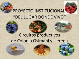 PROYECTO INSTITUCIONAL:
“DEL LUGAR DONDE VIVO”
Circuitos productivos
de Colonia Osimani y Llerena
 