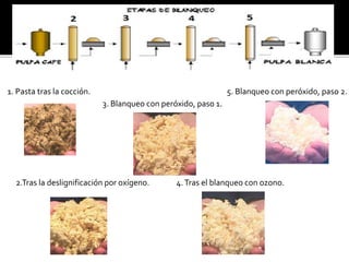 1. Pasta tras la cocción. 
3. Blanqueo con peróxido, paso 1. 
2.Tras la deslignificación por oxígeno. 
5. Blanqueo con peróxido, paso 2. 
4. Tras el blanqueo con ozono. 
 