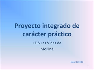 Proyecto integrado de carácter práctico I.E.S Las Viñas de Mollina Isora Lavado 