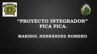 “PROYECTO INTEGRADOR”
PICA PICA.
MARISOL HERNÁNDEZ ROMERO
 