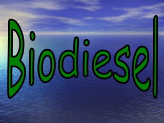 Biodiesel 