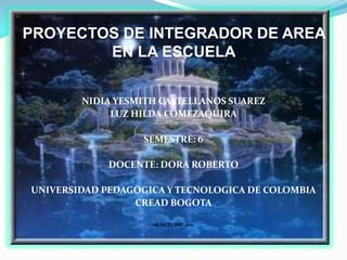 PROYECTOS DE INTEGRADOR DE AREA EN LA ESCUELANIDIA YESMITH CASTELLANOS SUAREZLUZ HILDA COMEZAQUIRASEMESTRE: 6DOCENTE: DORA ROBERTOUNIVERSIDAD PEDAGOGICA Y TECNOLOGICA DE COLOMBIACREAD BOGOTA08-OCTUBRE-2011