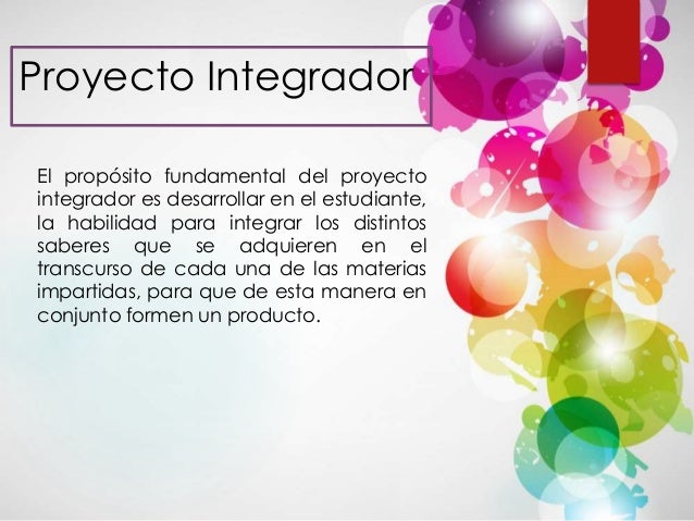 Proyecto integrador