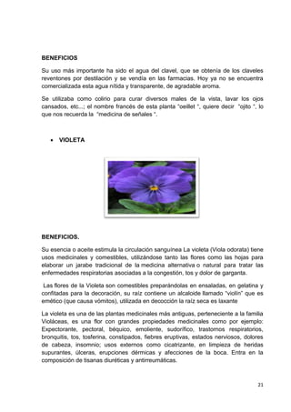 BENEFICIOS
Su uso más importante ha sido el agua del clavel, que se obtenía de los claveles
reventones por destilación y se vendía en las farmacias. Hoy ya no se encuentra
comercializada esta agua nítida y transparente, de agradable aroma.
Se utilizaba como colirio para curar diversos males de la vista, lavar los ojos
cansados, etc...; el nombre francés de esta planta “oeillet “, quiere decir “ojito “, lo
que nos recuerda la “medicina de señales “.



VIOLETA

BENEFICIOS.
Su esencia o aceite estimula la circulación sanguínea La violeta (Viola odorata) tiene
usos medicinales y comestibles, utilizándose tanto las flores como las hojas para
elaborar un jarabe tradicional de la medicina alternativa o natural para tratar las
enfermedades respiratorias asociadas a la congestión, tos y dolor de garganta.
Las flores de la Violeta son comestibles preparándolas en ensaladas, en gelatina y
confitadas para la decoración, su raíz contiene un alcaloide llamado “violín” que es
emético (que causa vómitos), utilizada en decocción la raíz seca es laxante
La violeta es una de las plantas medicinales más antiguas, perteneciente a la familia
Violáceas, es una flor con grandes propiedades medicinales como por ejemplo:
Expectorante, pectoral, béquico, emoliente, sudorífico, trastornos respiratorios,
bronquitis, tos, tosferina, constipados, fiebres eruptivas, estados nerviosos, dolores
de cabeza, insomnio; usos externos como cicatrizante, en limpieza de heridas
supurantes, úlceras, erupciones dérmicas y afecciones de la boca. Entra en la
composición de tisanas diuréticas y antirreumáticas.

21

 