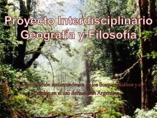 Proyecto interdisciplinario de bosques nativos 5º año