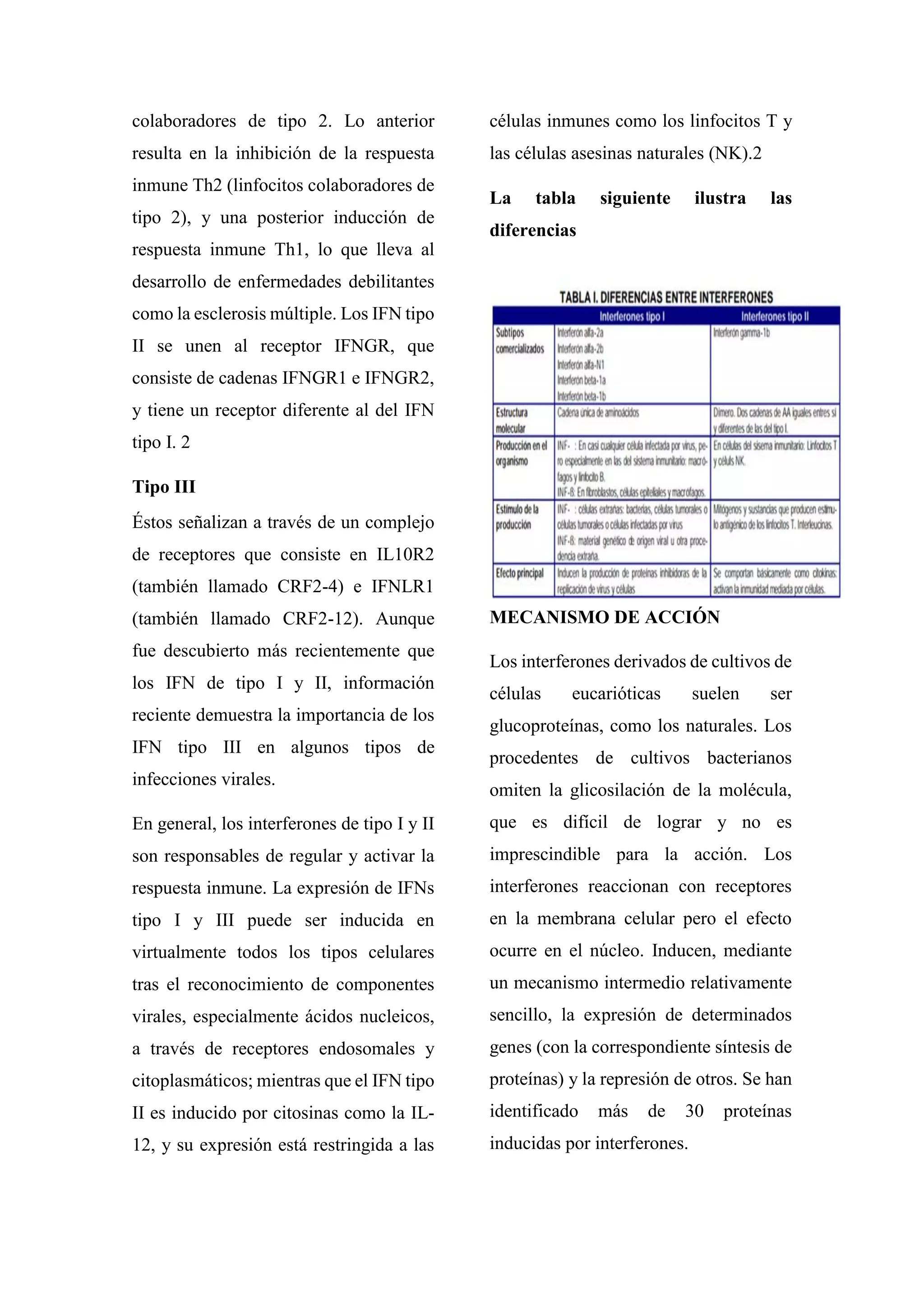 colaboradores de tipo 2. Lo anterior
resulta en la inhibición de la respuesta
inmune Th2 (linfocitos colaboradores de
tipo 2), y una posterior inducción de
respuesta inmune Th1, lo que lleva al
desarrollo de enfermedades debilitantes
como la esclerosis múltiple. Los IFN tipo
II se unen al receptor IFNGR, que
consiste de cadenas IFNGR1 e IFNGR2,
y tiene un receptor diferente al del IFN
tipo I. 2
Tipo III
Éstos señalizan a través de un complejo
de receptores que consiste en IL10R2
(también llamado CRF2-4) e IFNLR1
(también llamado CRF2-12). Aunque
fue descubierto más recientemente que
los IFN de tipo I y II, información
reciente demuestra la importancia de los
IFN tipo III en algunos tipos de
infecciones virales.
En general, los interferones de tipo I y II
son responsables de regular y activar la
respuesta inmune. La expresión de IFNs
tipo I y III puede ser inducida en
virtualmente todos los tipos celulares
tras el reconocimiento de componentes
virales, especialmente ácidos nucleicos,
a través de receptores endosomales y
citoplasmáticos; mientras que el IFN tipo
II es inducido por citosinas como la IL-
12, y su expresión está restringida a las
células inmunes como los linfocitos T y
las células asesinas naturales (NK).2
La tabla siguiente ilustra las
diferencias
MECANISMO DE ACCIÓN
Los interferones derivados de cultivos de
células eucarióticas suelen ser
glucoproteínas, como los naturales. Los
procedentes de cultivos bacterianos
omiten la glicosilación de la molécula,
que es difícil de lograr y no es
imprescindible para la acción. Los
interferones reaccionan con receptores
en la membrana celular pero el efecto
ocurre en el núcleo. Inducen, mediante
un mecanismo intermedio relativamente
sencillo, la expresión de determinados
genes (con la correspondiente síntesis de
proteínas) y la represión de otros. Se han
identificado más de 30 proteínas
inducidas por interferones.
 