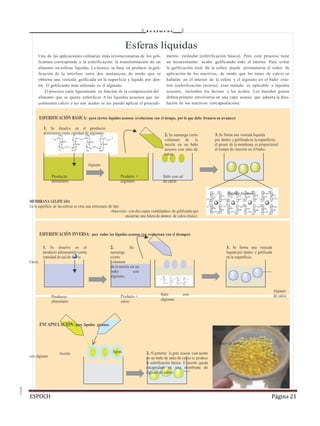 ESPOCH Página 21
elbulli
t e xt u r a s
Esferas líquidas
Una de las aplicaciones culinarias más revolucionarias de los geli-
ficantes corresponde a la esferificación: la transformación de un
alimento en esferas líquidas. La técnica se basa en producir la geli-
ficación de la interfase entre dos sustancias, de modo que se
obtiene una vesícula gelificada en la superficie y líquida por den-
tro. El gelificante más utilizado es el alginato.
El proceso varía ligeramente en función de la composición del
alimento que se quiere esferificar. A los líquidos acuosos que no
contienen calcio o no son ácidos se les puede aplicar el procedi-
miento estándar (esferificación básica). Pero este proceso tiene
un inconveniente: acaba gelificando todo el interior. Para evitar
la gelificación total de la esfera puede permutarse el orden de
aplicación de los reactivos, de modo que los iones de calcio se
hallarán en el interior de la esfera y el alginato en el baño exte-
rior (esferificación inversa); este método es aplicable a líquidos
acuosos, incluidos los lácteos y los ácidos. Los líquidos grasos
deben primero envolverse en una capa acuosa que admita la diso-
lución de los reactivos (encapsulación).
ESFERIFICACIÓN BÁSICA: para ciertos líquidos acuosos (evoluciona con el tiempo, por lo que debe frenarse su avance)
1. Se disuelve en el producto
alimentario cierta cantidad de alginato. 2. Se sumerge cierto
volumen de la
mezcla en un baño
acuoso con sales de
calcio.
3. Se forma una vesícula líquida
por dentro y geliﬁcada en la superﬁcie;
el grosor de la membrana es proporcional
al tiempo de reacción en el baño.
Alginato
Producto
alimentario
Producto +
alginato
Baño con sal
de calcio
MEMBRANA GELIFICADA
En la superﬁcie de las esferas se crea una estructura de tipo
«huevera» con dos capas «onduladas» de geliﬁcante que
encierran una hilera de átomos de calcio (bolas).
Alginato de calcio
ESFERIFICACIÓN INVERSA: para todos los líquidos acuosos (no evoluciona con el tiempo)
1. Se disuelve en el
producto alimentario cierta
cantidad de sal de calcio.
Calcio
2. Se
sumerge
cierto
volumen
de la mezcla en un
baño con
alginato.
3. Se forma una vesícula
líquida por dentro y geliﬁcada
en la superﬁcie.
Producto
alimentario
Producto +
calcio
Baño con
alginato
Alginato
de calcio
ENCAPSULACIÓN: para líquidos grasos
Aceite Agua
con alginato
2. Al penetrar la gota acuosa con aceite
en un baño de sales de calcio se produce
la esferiﬁcación básica. El aceite queda
encapsulado en una membrana de
alginato de calcio.
«Caviar» de aceite
 