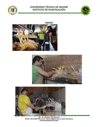 UNIVERSIDAD TÉCNICA DE MANABÍ
INSTITUTO DE INVESTIGACIÓN
Dir.: Av. Urbina y Che Guevara
Phone: 593-5-2657109 e-mail: instinvest@utm.edu.ec www.utm.edu.ec
Portoviejo-Manabí-Ecuador
ANEXOS
 