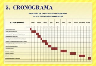 PROGRAMA DE CAPACITACION PROFESIONAL INSTITUTO TECNOLOGICO GAMMA-BELICE ACTIVIDADES ENERO FEBRERO MARZO ABRIL MAYO JUNIO JULIO AGOSTO SEPTIEMBRE OCTUBRE SEMANAS 1 2 3 4 1 2 3 4 1 2 3 4 1 2 3 4 1 2 3 4                                         1.- Recolección de información                                                                                 1.- Diseño y elaboración del proyecto.                                                                                 3.- Implementación del Departamento de Educación en Línea.                                                                                 4.- Implementacion del campus virtual                                                                                 5.- Selección y adecuación del ambiente del Centro de Cómputo                                                                                 6.- Instalación  y configuración de la red en el Centro de Cómputo                                                                                 7.- Periodos de pruebas de comunicación y del campus virtual                                                                                 8.- Inscripciondes de los participantes                                                                                 9.- Iniciación del módulo 1                                                                                 10.- Iniciación del módulo 2                                                                               11.- Iniciación del módulo 3                                                                                 12.- Iniciación del módulo 4                                                                                 13.- Evaluación del programa de capacitación.                                                                                                                                                                   