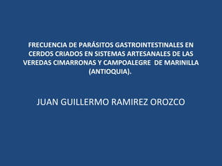 FRECUENCIA DE PARÁSITOS GASTROINTESTINALES EN
CERDOS CRIADOS EN SISTEMAS ARTESANALES DE LAS
VEREDAS CIMARRONAS Y CAMPOALEGRE DE MARINILLA
(ANTIOQUIA).
JUAN GUILLERMO RAMIREZ OROZCO
 